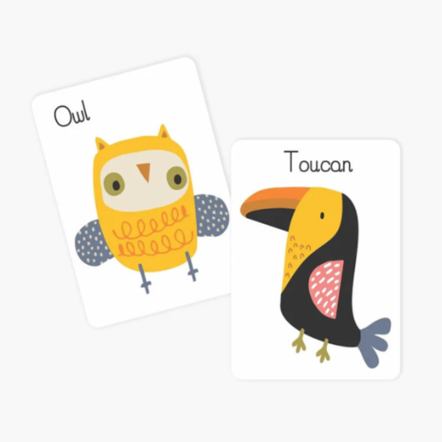 Alphabet-Animal Flash Cards