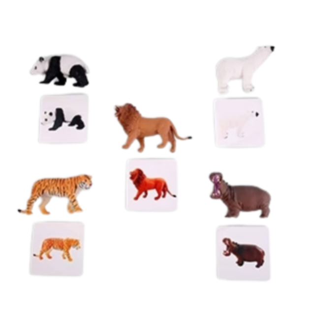 Curious Cub Level 9 Part 2