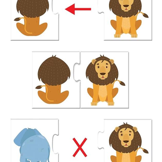 Back & Front Puzzle
