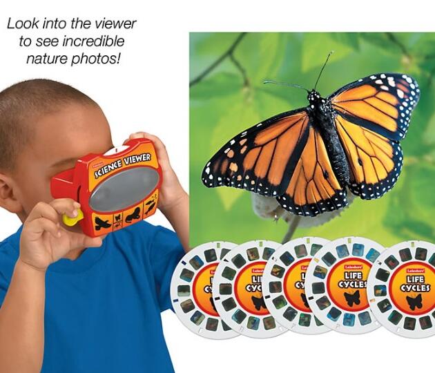 Lakeshore Life Cycle Viewer