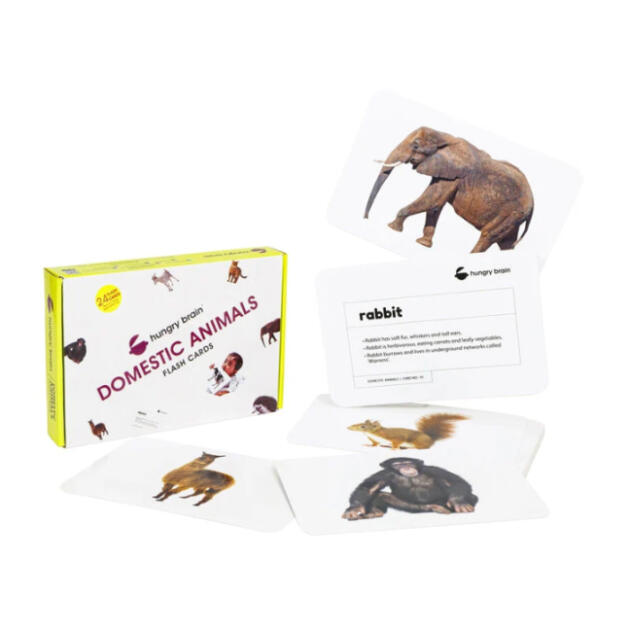 Hungry Brain Domestic Animals Flashcards - set of 24